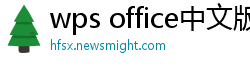 wps office中文版